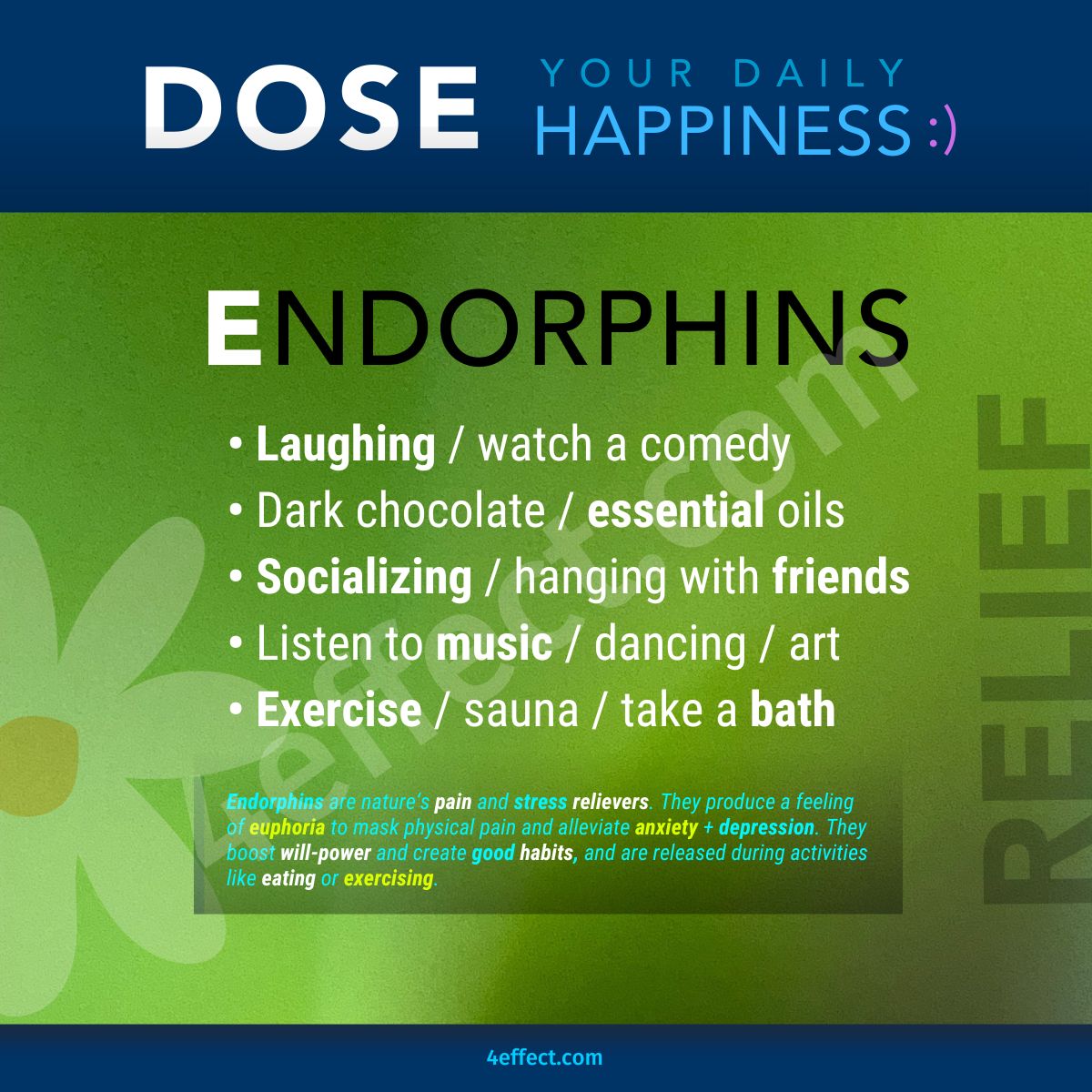 DOSE Endorphins